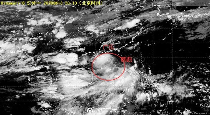 鹦鹉台风最新路径动态及全面解析影响与应对措施