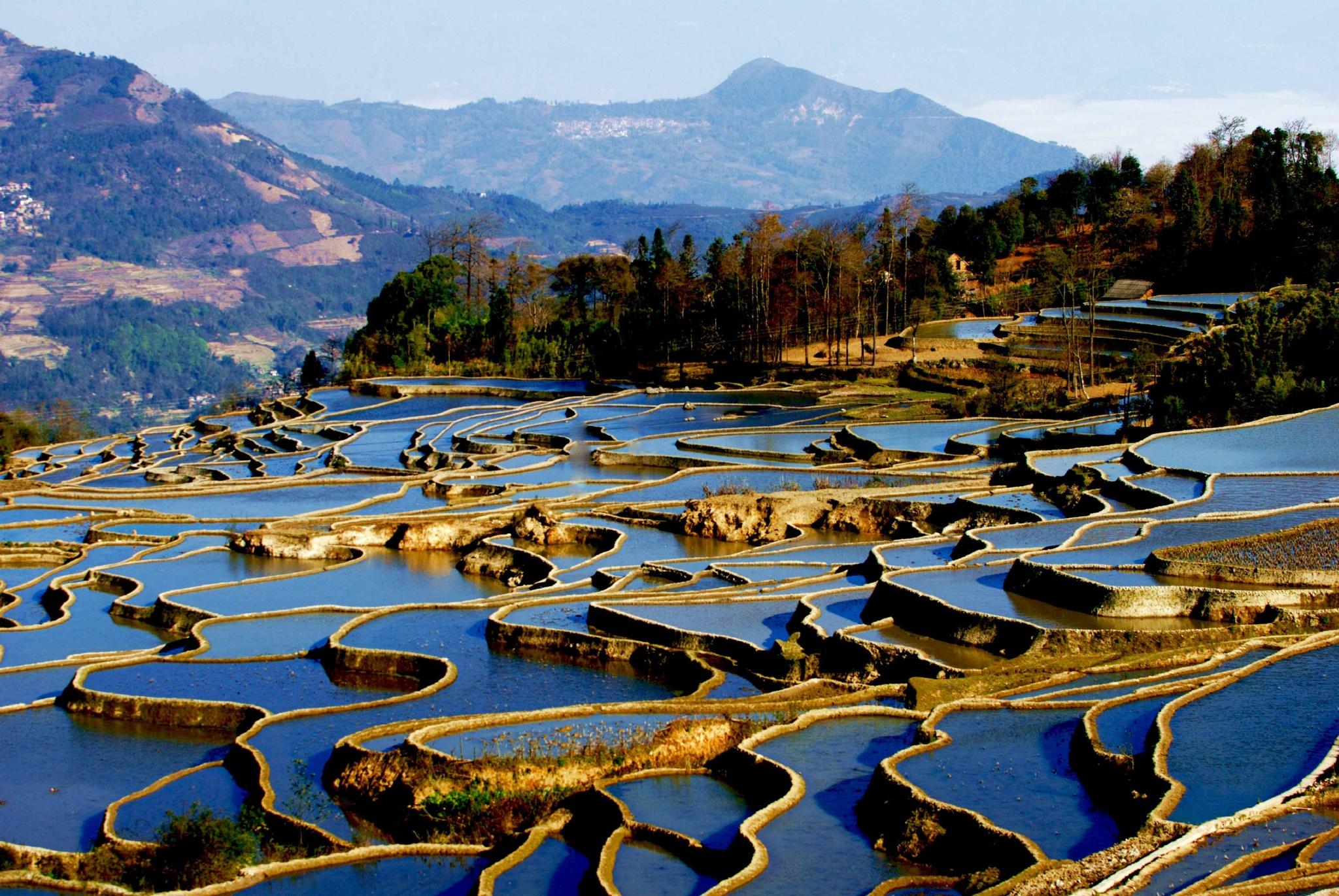 云南旅行最新动态，探索自然美景与文化魅力的最佳时机